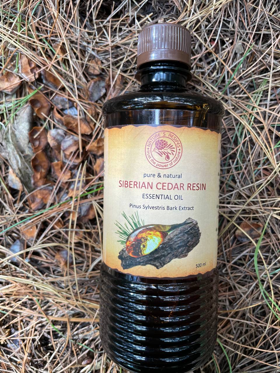 SIBERIAN CEDAR RESIN — Essential Oil