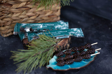 Candied Young Pine Cones