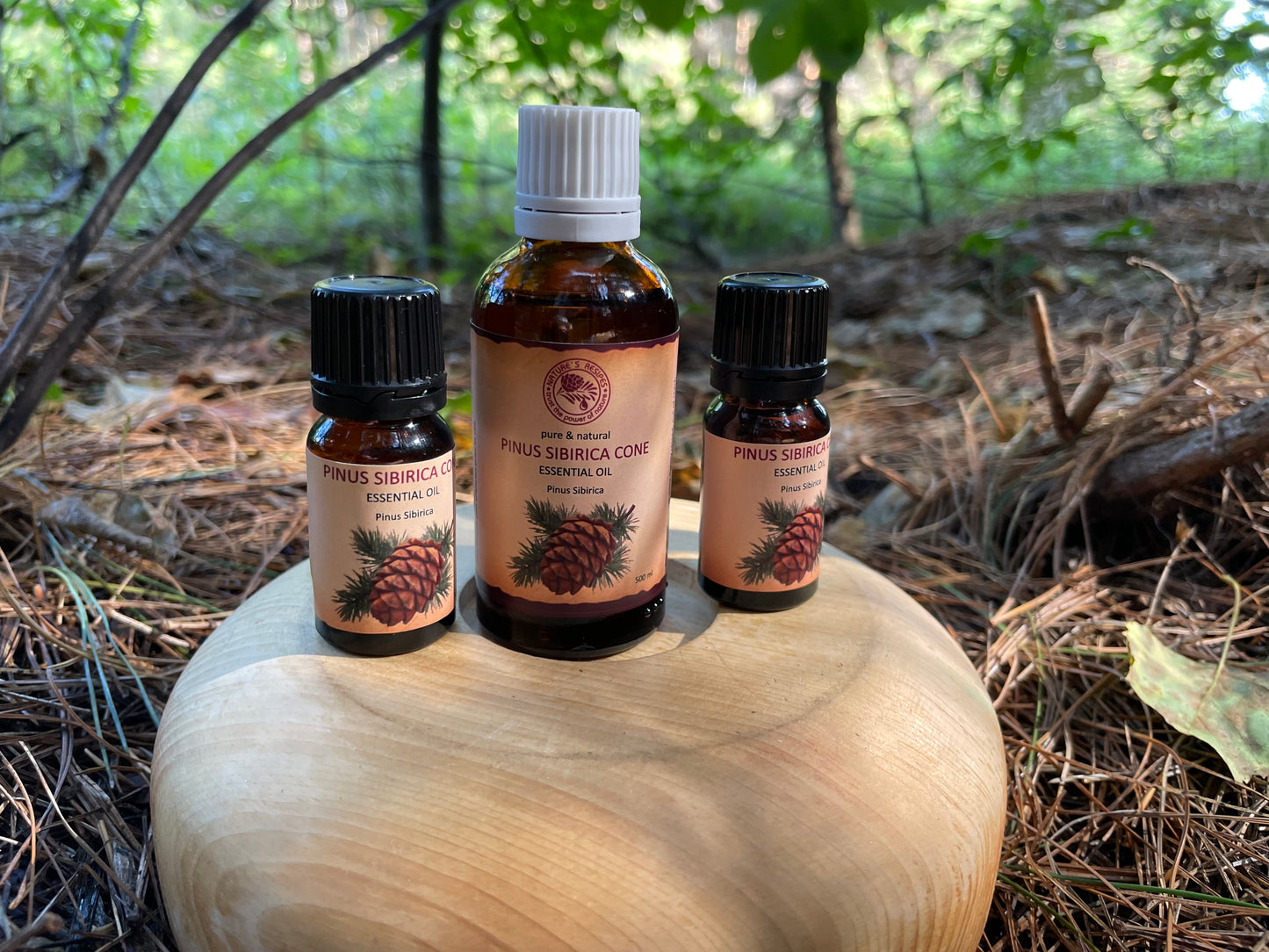 PINUS SIBIRICA CONE — Essential Oil