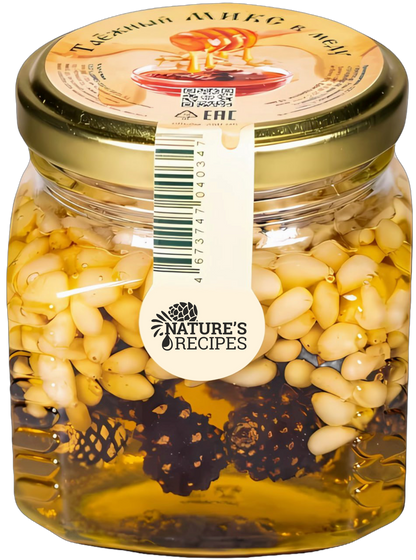 Honey mix with pine nuts and pine cones