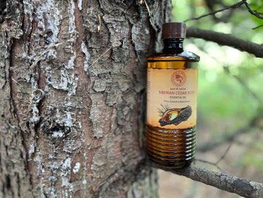 SIBERIAN CEDAR RESIN — Essential Oil
