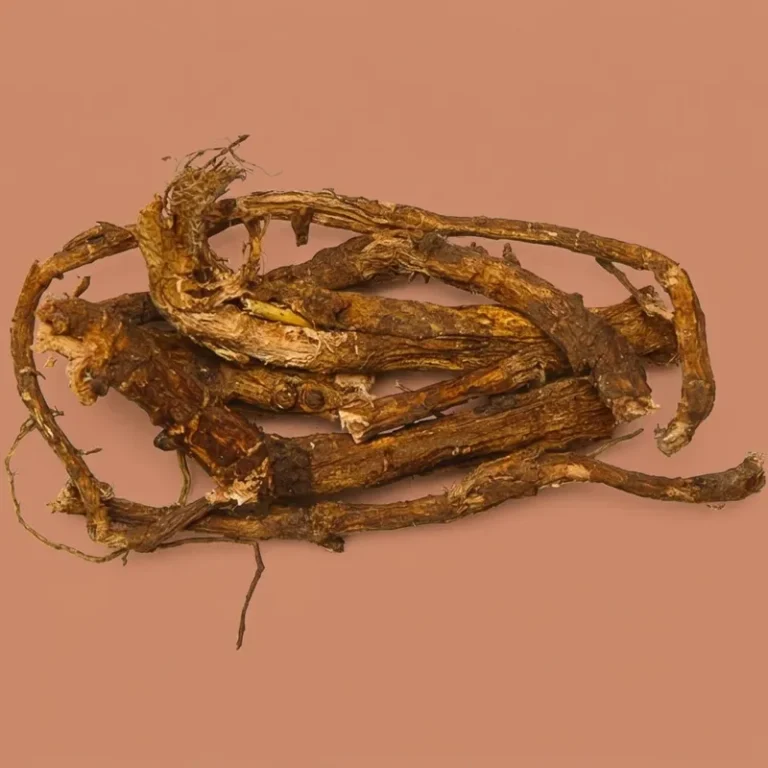 Red Root (Hedysarum) Siberian adaptogen